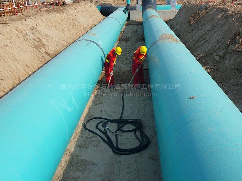 柔性阳极(图1) 柔性阳极